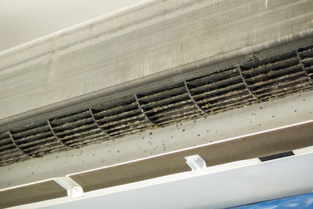 Best Emergency Air Duct Cleaning Services in USA